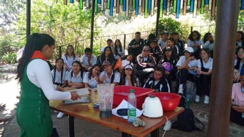 salida-pedagogica-5-8-bosque-subachoque-2024-32