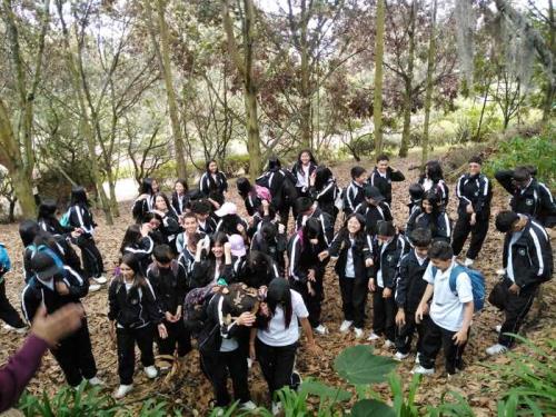 salida-pedagogica-5-8-bosque-subachoque-2024-37