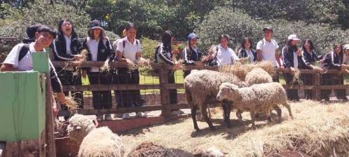 salida-pedagogica-9-11-bosque-subachoque-2024-31