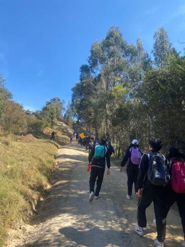 salida-pedagogica-9-11-bosque-subachoque-2024-35